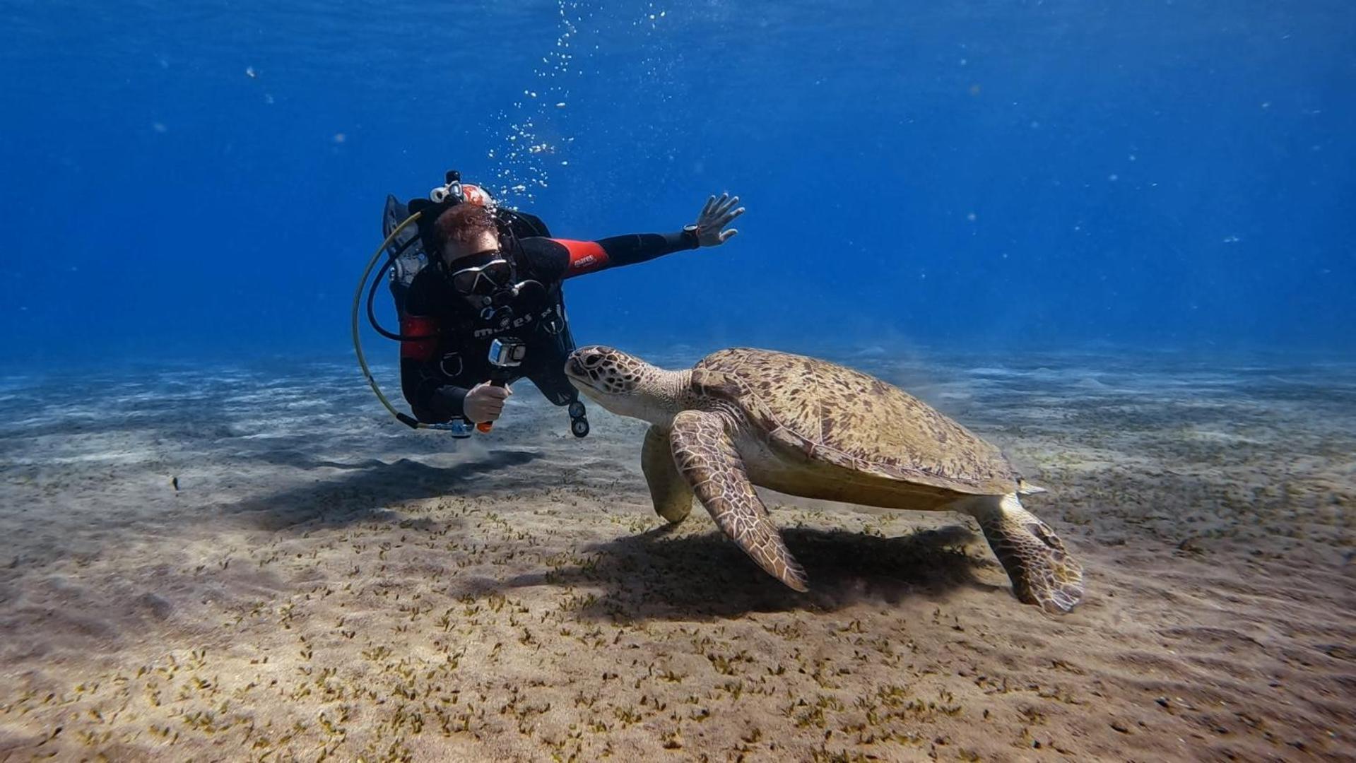 Star House Hotel With Diving Center (Adults Only) Marsa Alam Extérieur photo